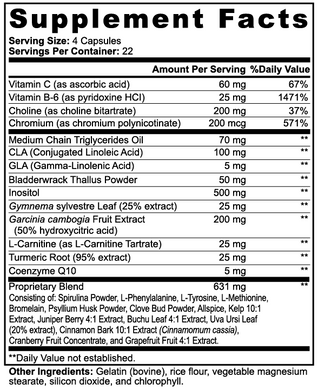 DEPÜFF Metabolism +